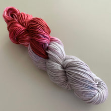 Load image into Gallery viewer, There’s Something in the House Hand Dyed Superwash 100% Merino Wool Worsted Yarn
