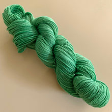 Load image into Gallery viewer, I Know What I Saw Hand Dyed Sparkly Merino Wool & Nylon Superwash Yarn