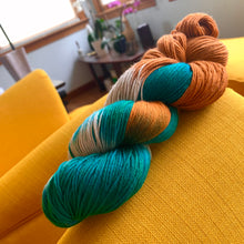 Load image into Gallery viewer, Century Man Hand Dyed Superwash Merino Wool, Cashmere & Nylon Sock Yarn