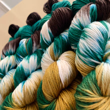 Load image into Gallery viewer, Still Pretty Mike-Inspired Hand Dyed Superwash Merino Wool Worsted Yarn