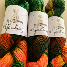 Load image into Gallery viewer, Mornin’ Dart Hand Dyed Superwash 100% Merino Wool Worsted Yarn