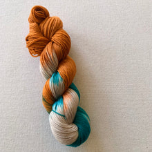 Load image into Gallery viewer, Century Man Hand Dyed Superwash Merino Wool, Cashmere & Nylon Sock Yarn