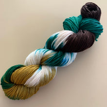 Load image into Gallery viewer, Still Pretty Mike-Inspired Hand Dyed Superwash Merino Wool Worsted Yarn