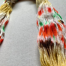 Load image into Gallery viewer, Triple Decker Waffle Eggo Extravaganza Hand Dyed Superwash 100% Merino Wool Worsted Yarn