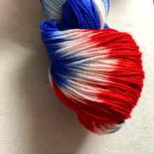 Load image into Gallery viewer, Scoops Troop Hand Dyed Merino Wool & Nylon Superwash Yarn