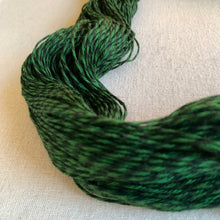 Load image into Gallery viewer, Colder Weather Hand Dyed Marled Wool Yarn