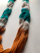 Load image into Gallery viewer, Century Man Hand Dyed Superwash Merino Wool & Nylon Sock Yarn