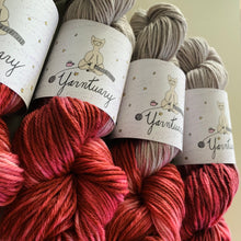 Load image into Gallery viewer, There’s Something in the House Hand Dyed Superwash 100% Merino Wool Worsted Yarn