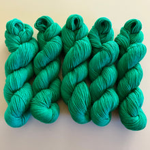 Load image into Gallery viewer, Horizons Hand Dyed Merino Wool & Nylon Superwash Yarn