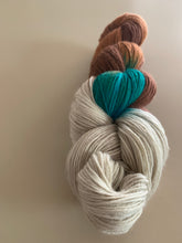 Load image into Gallery viewer, OOAK Variant of Century Man (Trial 1) - Hand Dyed Superwash Merino Wool, Cashmere & Nylon Sock Yarn
