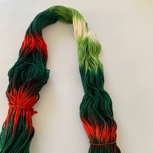 Load image into Gallery viewer, OOAK Variant (Trial 3) of Mistletoe and Holly Hand Dyed 100% Merino Wool Superwash DK Yarn