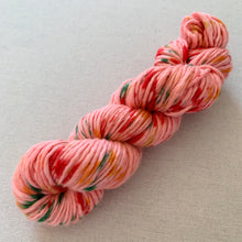 Load image into Gallery viewer, OOAK Variant (Trial 3) of Tutti Frutti - Hand Dyed Luxury Merino Wool Camel Aran Yarn