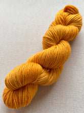 Load image into Gallery viewer, Carmen Hand Dyed 100% Merino Wool Superwash Extra Soft DK Yarn
