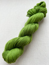 Load image into Gallery viewer, OOAK Variant (Trial 4) of The Curse Hand Dyed Merino Wool &amp; Recycled Nylon Superwash Yarn
