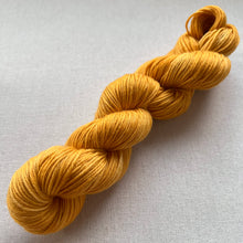 Load image into Gallery viewer, Carmen Hand Dyed 100% Merino Wool Superwash Extra Soft DK Yarn
