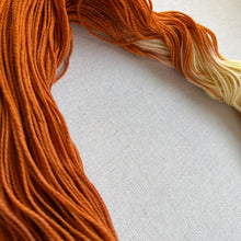 Load image into Gallery viewer, OOAK Variant (Trial 11) of Flantasy - Hand Dyed Merino Wool &amp; Recycled Nylon Superwash Yarn
