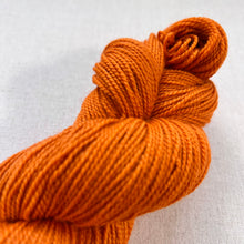 Load image into Gallery viewer, Great Pumpkin Waltz Hand Dyed Merino Wool &amp; Nylon Superwash Yarn
