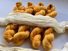 Load image into Gallery viewer, Carmen Hand Dyed 100% Merino Wool Superwash Extra Soft DK Yarn
