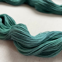 Load image into Gallery viewer, the wind was blowing Hand Dyed Merino Wool &amp; Recycled Nylon Superwash Sock/Fingering Yarn
