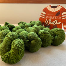 Load image into Gallery viewer, The Curse Hand Dyed Merino Wool &amp; Recycled Nylon Superwash Yarn
