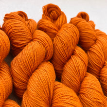 Load image into Gallery viewer, Great Pumpkin Waltz Hand Dyed Merino Wool &amp; Nylon Superwash Yarn
