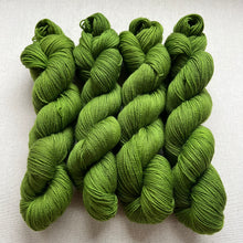 Load image into Gallery viewer, The Curse Hand Dyed Merino Wool &amp; Recycled Nylon Superwash Yarn
