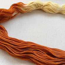 Load image into Gallery viewer, OOAK Variant (Trial 11) of Flantasy - Hand Dyed Merino Wool &amp; Recycled Nylon Superwash Yarn
