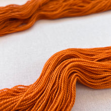 Load image into Gallery viewer, Great Pumpkin Waltz Hand Dyed Merino Wool &amp; Nylon Superwash Yarn
