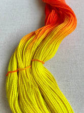 Load image into Gallery viewer, OOAK Variant (Trial 5) of Birds of a Feather Hand Dyed Merino Wool &amp; Nylon Superwash Yarn
