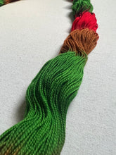 Load image into Gallery viewer, Apple Orchard Hand Dyed Merino Wool &amp; Nylon Superwash Sock/Fingering Yarn
