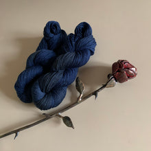 Load image into Gallery viewer, Lake Rita Hand Dyed Superwash Merino Wool &amp; Nylon Sparkle Sock Yarn
