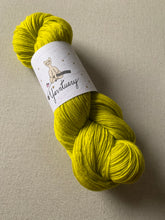 Load image into Gallery viewer, No Cars Go Hand Dyed Superwash Merino Wool, Cashmere &amp; Nylon Sock Yarn
