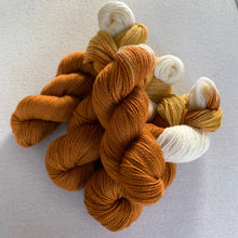 Load image into Gallery viewer, Home for the Holidays (Pumpkin Pie) Hand Dyed Superwash 100% Merino Wool Sock Yarn
