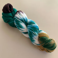 Load image into Gallery viewer, Still Pretty Mike-Inspired Hand Dyed Superwash Merino Wool, Cashmere and Nylon Yarn
