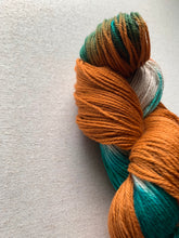 Load image into Gallery viewer, Century Man Hand Dyed Superwash Merino Wool &amp; Nylon Sock Yarn
