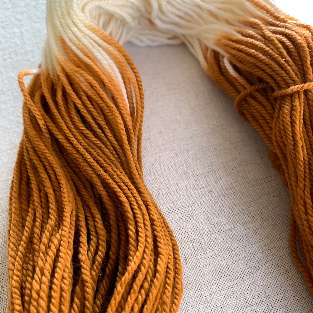 Home for the Holidays (Pumpkin Pie) Hand Dyed Superwash 100% Merino Wool DK Yarn