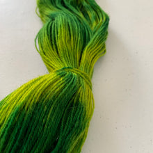 Load image into Gallery viewer, Gaal Leaves Synnax - Hand Dyed Superwash 100% Bluefaced Leicester Sock Yarn
