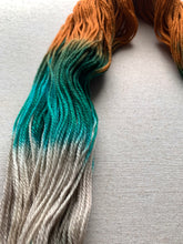 Load image into Gallery viewer, Century Man Hand Dyed Superwash Merino Wool &amp; Nylon Sock Yarn
