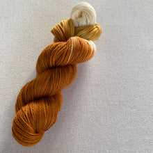 Load image into Gallery viewer, Home for the Holidays (Pumpkin Pie) Hand Dyed Superwash 100% Merino Wool Sock Yarn
