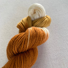 Load image into Gallery viewer, Home for the Holidays (Pumpkin Pie) Hand Dyed Superwash 100% Merino Wool Sock Yarn
