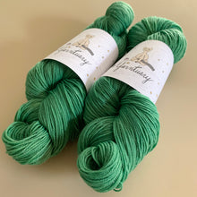 Load image into Gallery viewer, I Know What I Saw Hand Dyed Sparkly Merino Wool &amp; Nylon Superwash Yarn
