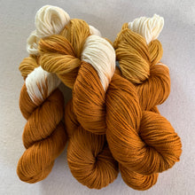 Load image into Gallery viewer, Home for the Holidays (Pumpkin Pie) Hand Dyed Superwash 100% Merino Wool DK Yarn
