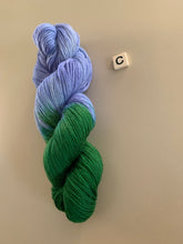 Load image into Gallery viewer, OOAK Variant of Old Money (Trial 3) - Hand Dyed Superwash 100% Bluefaced Leicester Sock Yarn
