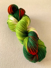 Load image into Gallery viewer, Mistletoe and Holly Hand Dyed Superwash Merino Wool DK Yarn
