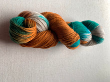 Load image into Gallery viewer, Century Man Hand Dyed Superwash Merino Wool &amp; Nylon Sock Yarn
