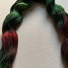 Load image into Gallery viewer, OOAK Variant of Mistletoe and Holly Hand Dyed Organic Merino Wool &amp; Biodegradable Nylon Sock Yarn
