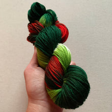 Load image into Gallery viewer, OOAK Variant (Trial 3) of Mistletoe and Holly Hand Dyed 100% Merino Wool Superwash DK Yarn
