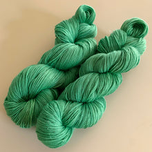 Load image into Gallery viewer, I Know What I Saw Hand Dyed Sparkly Merino Wool &amp; Nylon Superwash Yarn
