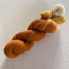 Load image into Gallery viewer, Home for the Holidays (Pumpkin Pie) Hand Dyed Superwash 100% Merino Wool Sock Yarn
